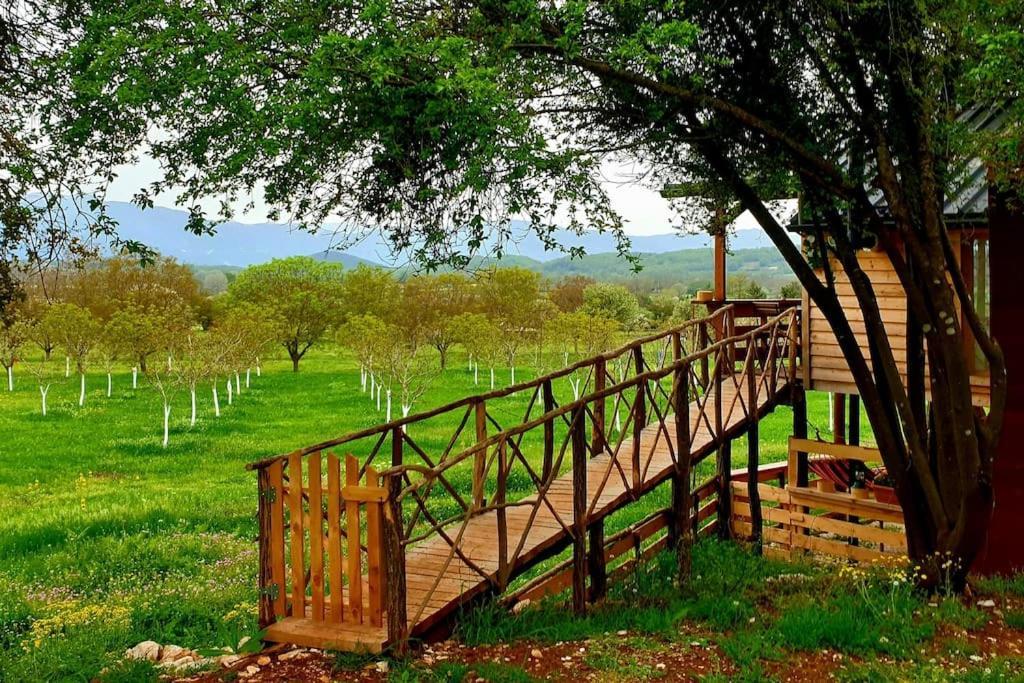 The Treevilla يانينة المظهر الخارجي الصورة